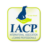 IACP Member
