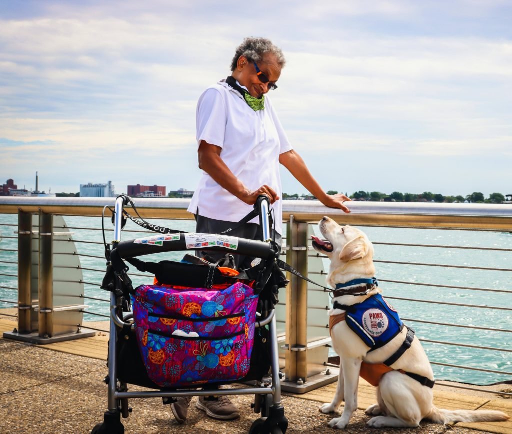 Service Dogs, Therapy Dogs, and Emotional Support Dogs